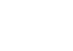 CONCRETIZZARE (LOGO) BRANCO